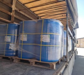 WhatsApp Image 2026-01-07 at 4.00.12 PM.jpeg